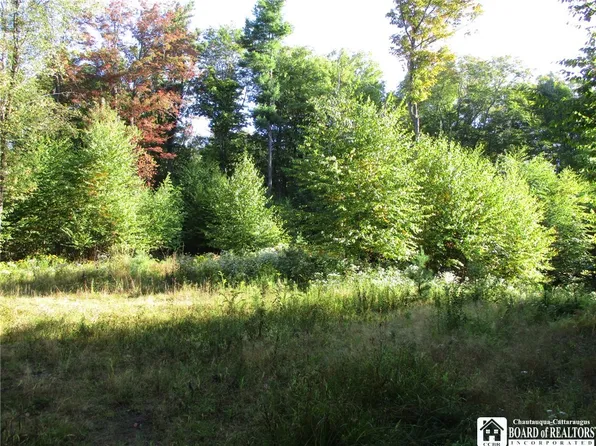 0 County Road 5, Bolivar, NY 14715