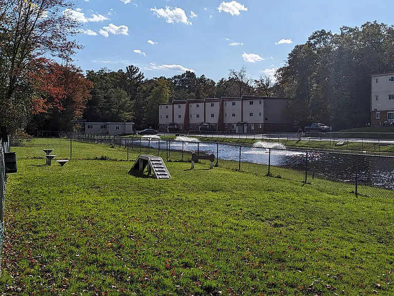 Dog Park 1