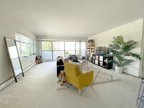 157 Elm St #11 Photo 1
