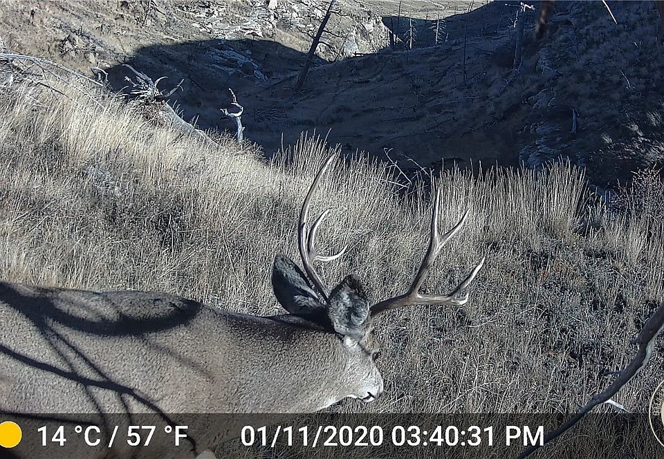 1st image of Nhn Lookout Point