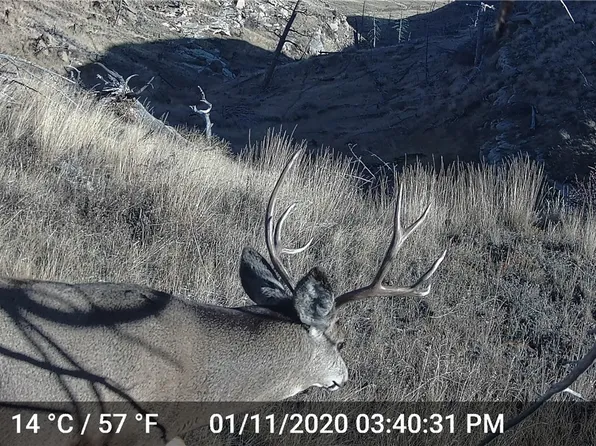 Nhn Lookout Point, Shawmut, MT 59078