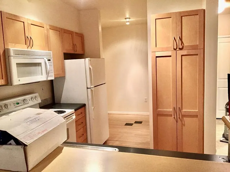 1 bed, 723 sqft, $2,300 — Photo 3