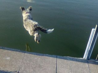 637 Soda Creek Rd, Spicewood, TX 78669