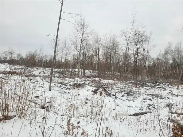ON Sheep Camp Road, Ladysmith, WI 54848