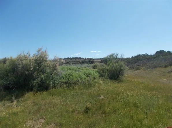  Road 12, Dove Creek, CO 81324