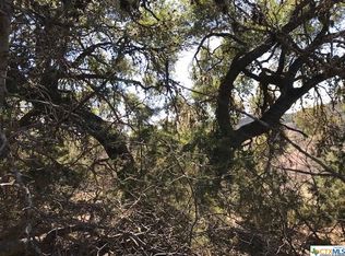 677 Mystic Shores Blvd, Spring Branch, TX 78070