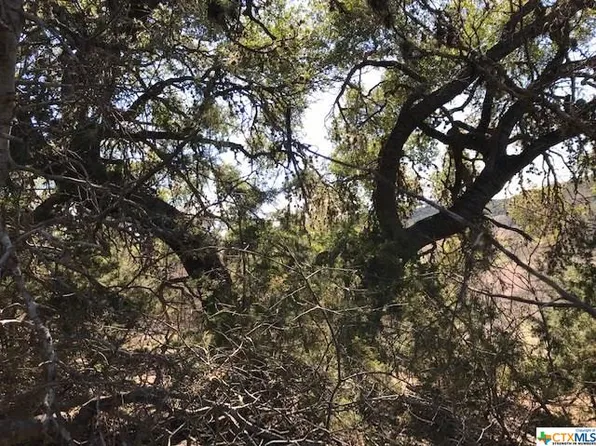 677 Mystic Shores Blvd, Spring Branch, TX 78070