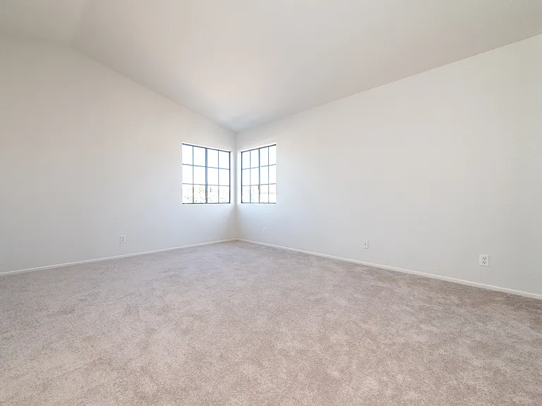 24 Silkberry — Photo 17