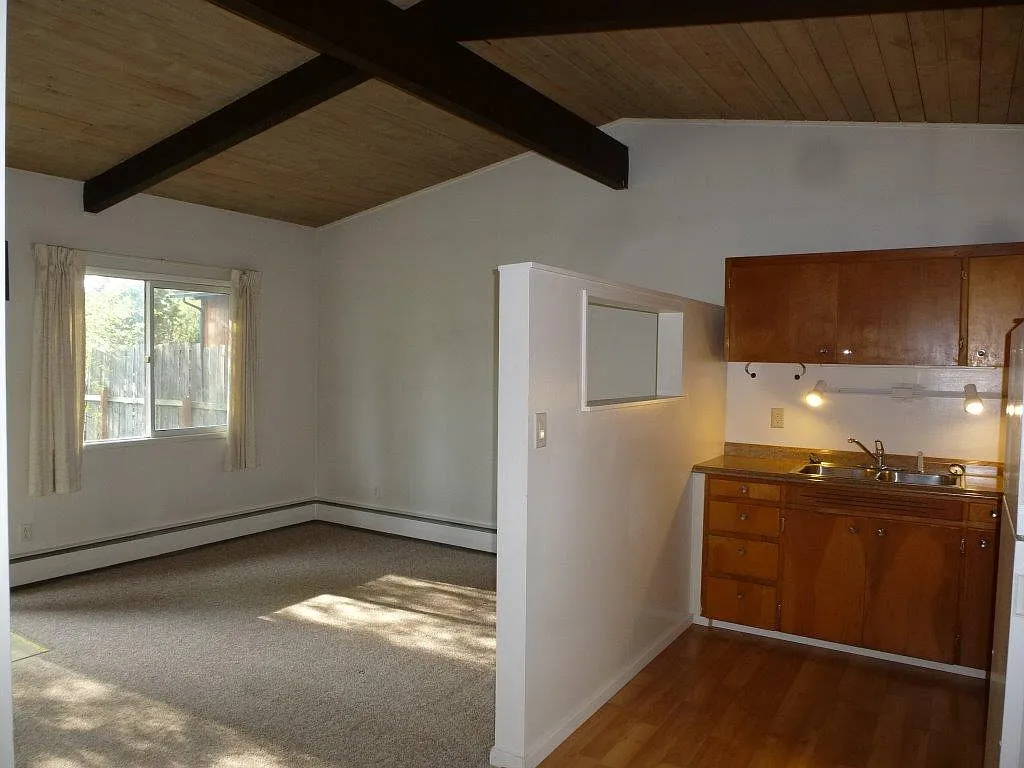 1 bed, 600 sqft, $1,185 — Photo 4