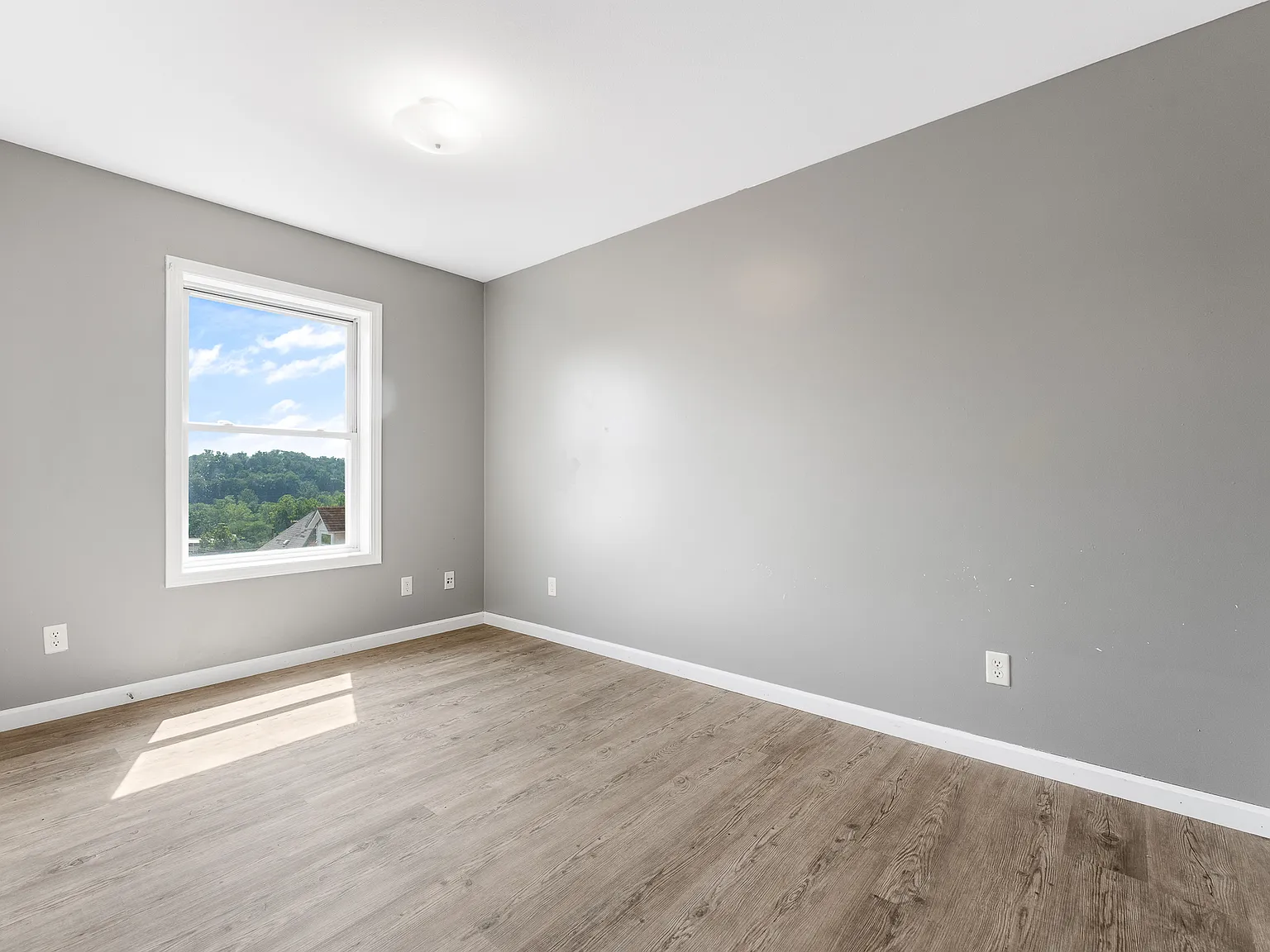 2 bed, 800 sqft, $1,150 — Photo 3