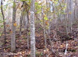 E Eight Red Wolf Run None, Mars Hill, NC 28754