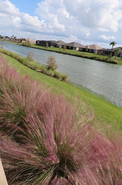 Back water view