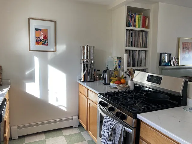 11 Gibbon Ct — Photo 6