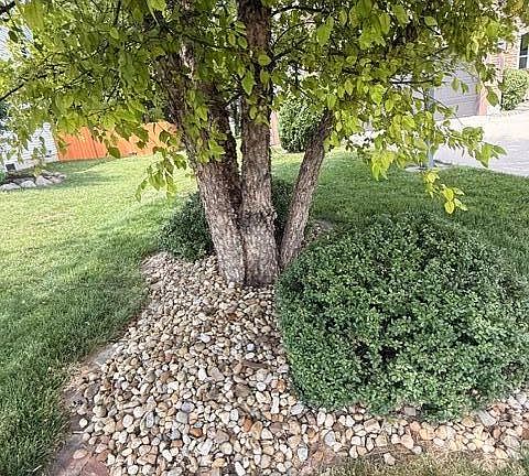 5th image of 7045 Sherbrook Dr