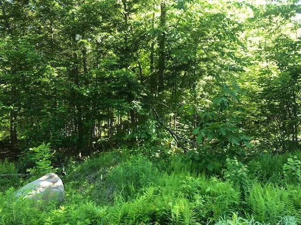 0 Flag Cove Road Road, Bowerbank, ME 04426