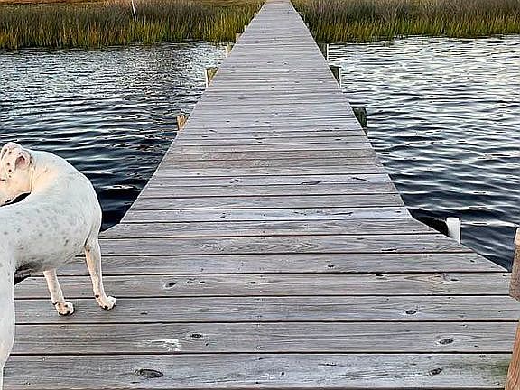 Private dock