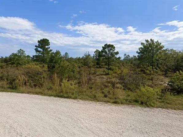 Coral Rock Dr Lot 17, Webster, FL 33597