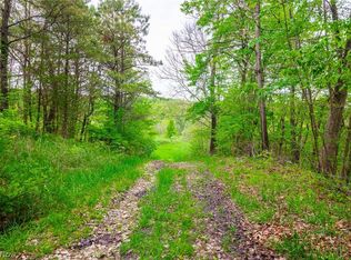 60936 Patch Rd, New Concord, OH 43762