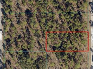 NW Smallwood Rd LOT 13, Dunnellon, FL 34431