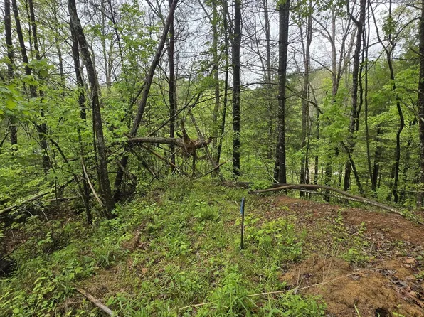 52 Soul Cyn, Zoe, KY 41397