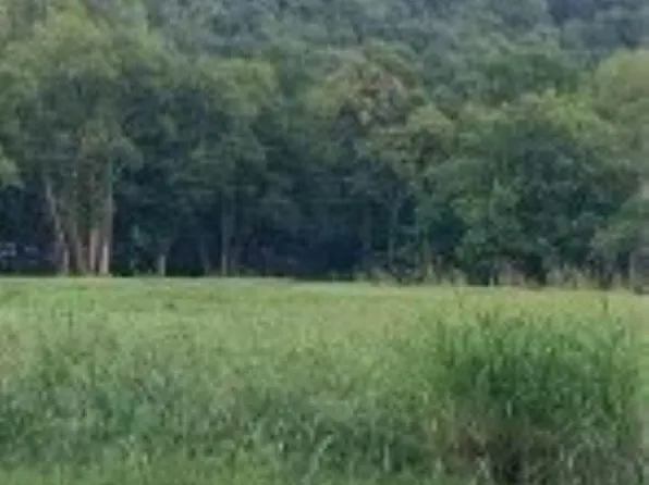 1144 Upper Hurricane Rd, New Market, AL 35761