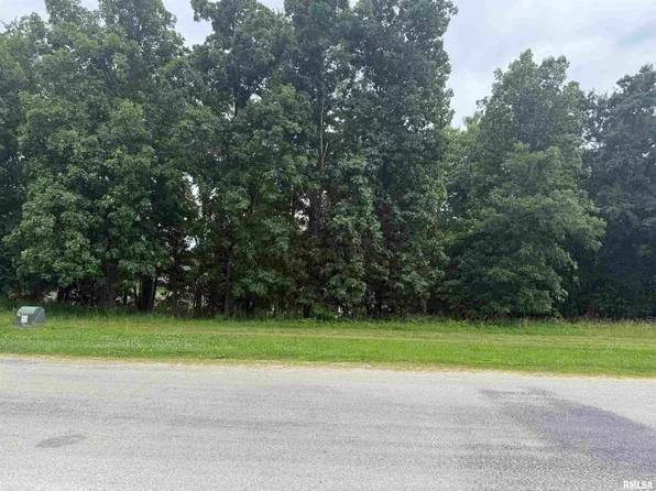 180 Beyers Lake Est, Pana, IL 62557