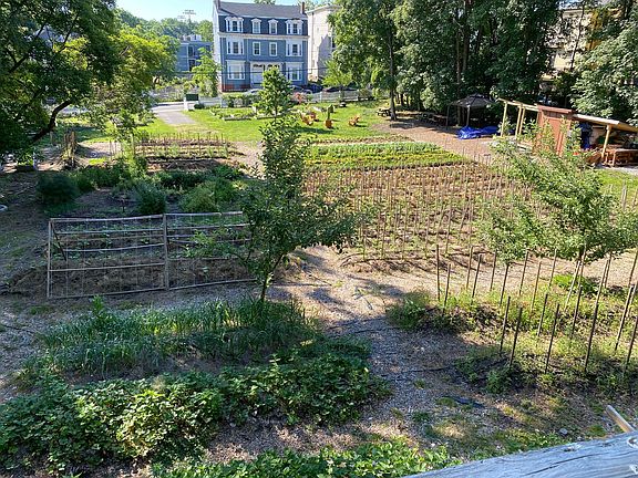 Urban Farm that abuts the entire back side of the property