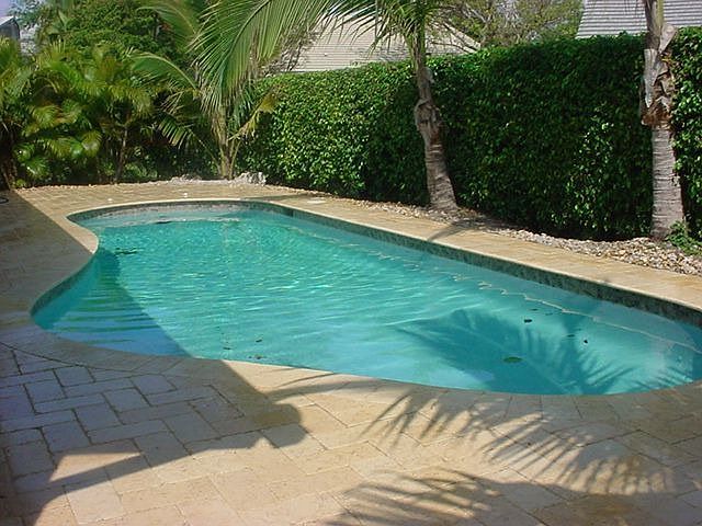 Salt Water Pool w/Diamond Brite, Spa Seat and Jets