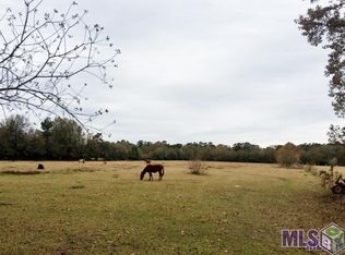 Tbd Lavigne Rd, Albany, LA 70711
