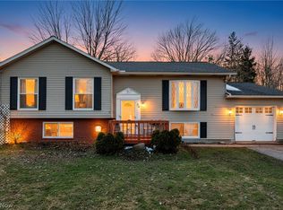 54 Park Rd, Painesville, OH 44077