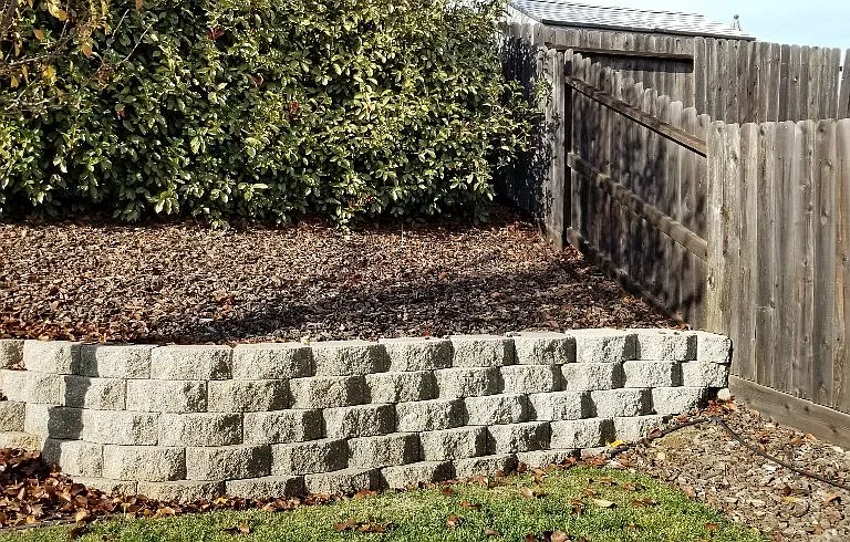 12015 Country Garden Dr — Photo 4