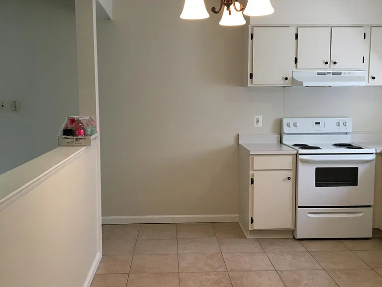 706 Meadow Woods Ln — Photo 19