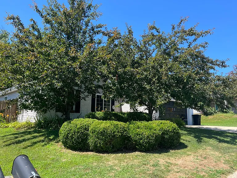15958 Tracker Ln — Photo 3