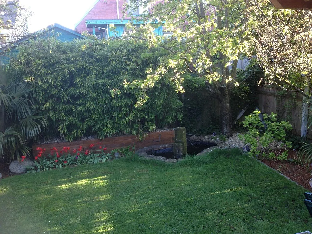 backyard with fountain pond - 828 NE 69th St