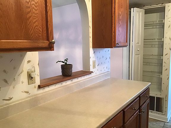 kitchen counter with pantry and see-through opening into dining room
