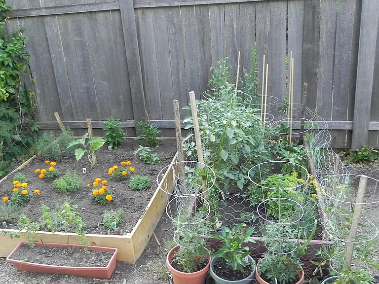 garden area