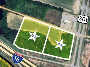 9.94 Acres Hwy #301-D-2, Register, GA 30452