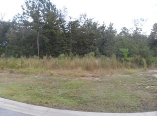 1293 Peacock Trl, Hinesville, GA 31313