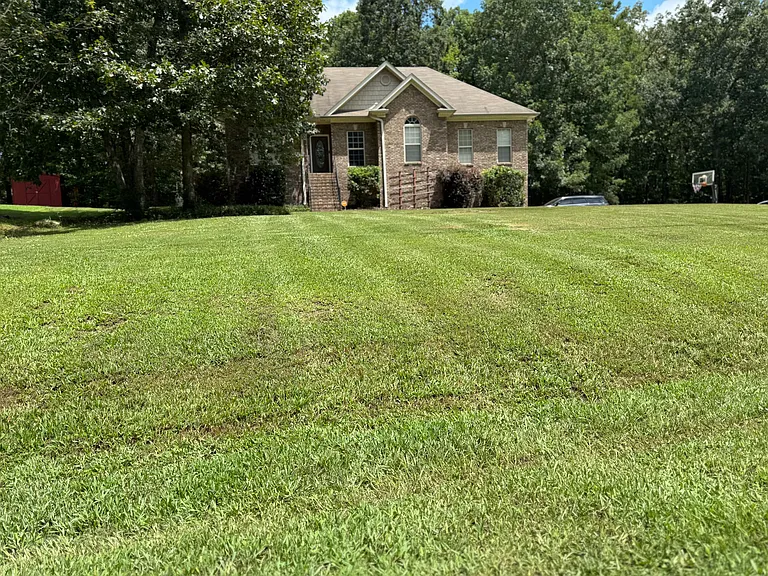 996 George Crowe Rd — Photo 5
