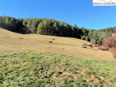 TBD (14.53 +/- acres) Hartzog Ford Road, West Jefferson, NC, 28694