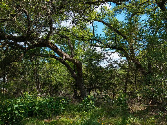 5th image of 1109 Towhee LOT 2095