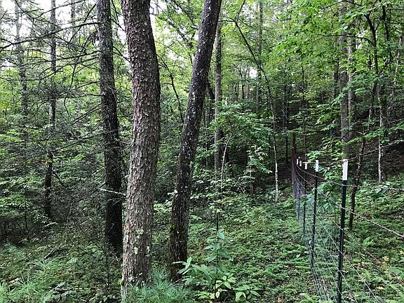 4th image of 0 Sencebaugh Dr Lot 19A