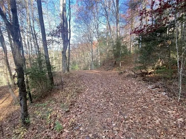 1 Barefoot Hills Rd #1, Hiawassee, GA 30546