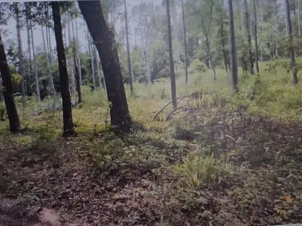 189 Morris Stevens Rd, Macon, GA 31217