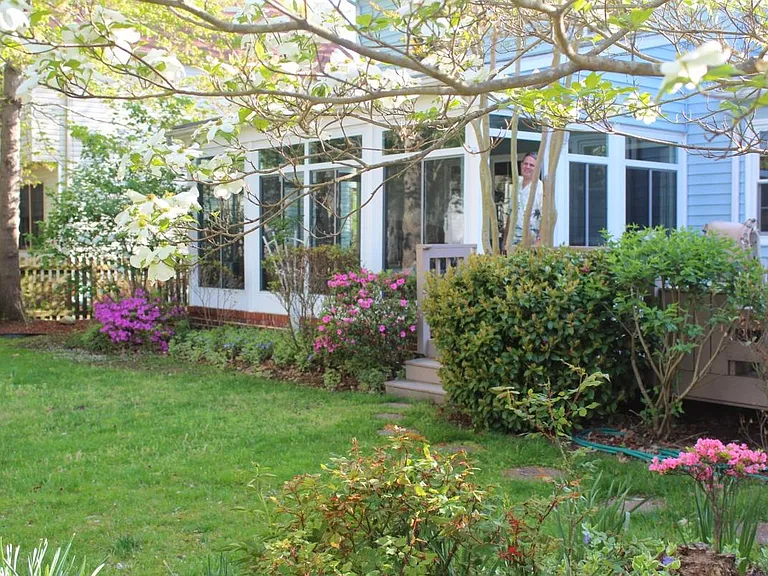 Backyard in the Spring
