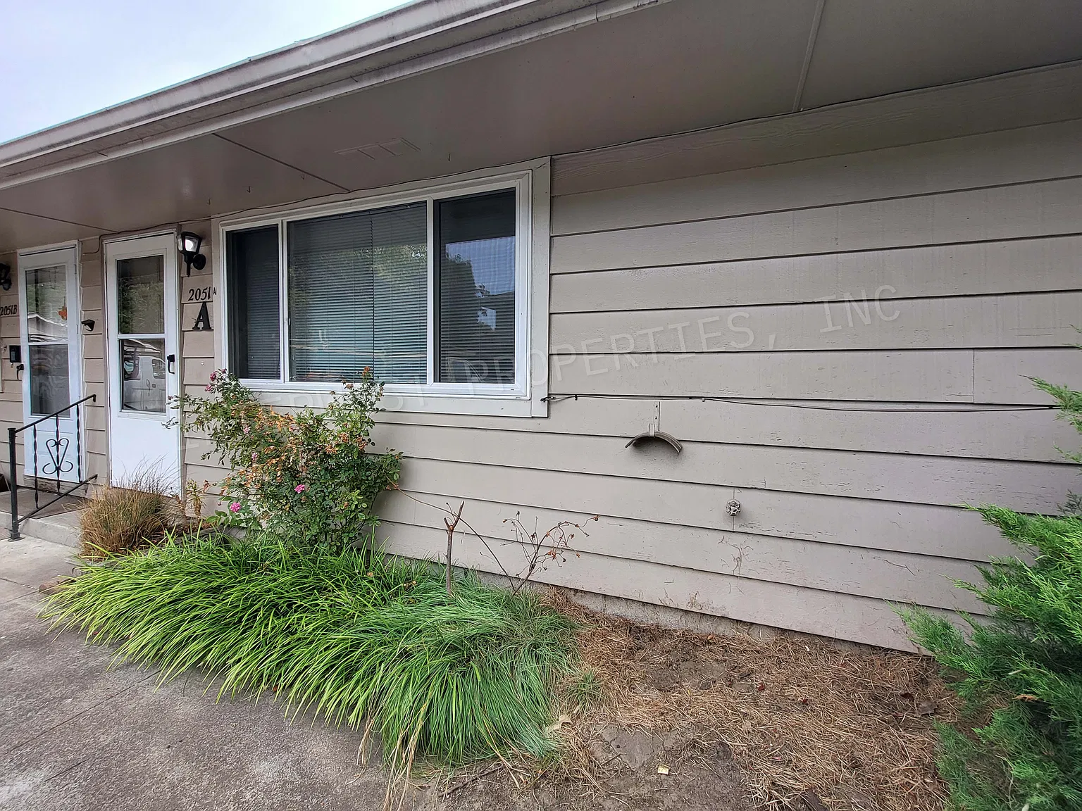 2 bed, 800 sqft, $1,595 — Photo 1