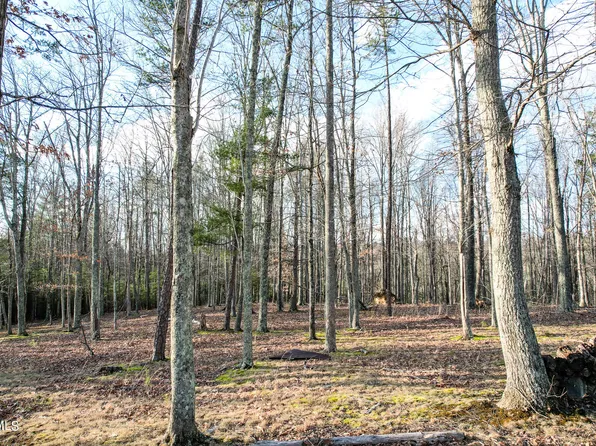 Lots 4&5 Frank Roberts Rd, Chuckey, TN 37641