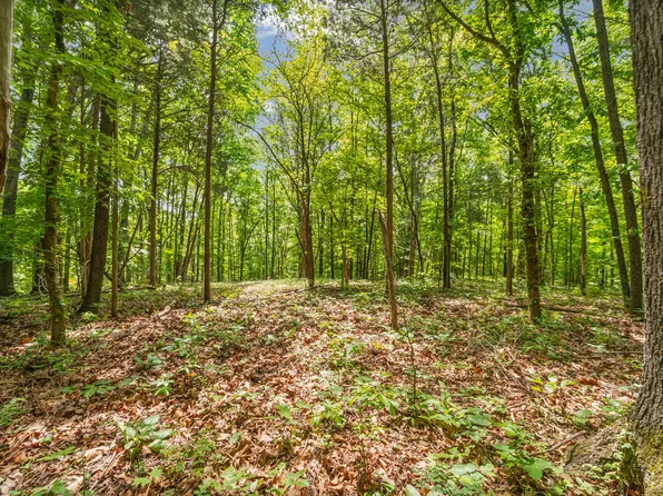 1 Budds Creek Rd Lot 1, Palmyra, TN 37142