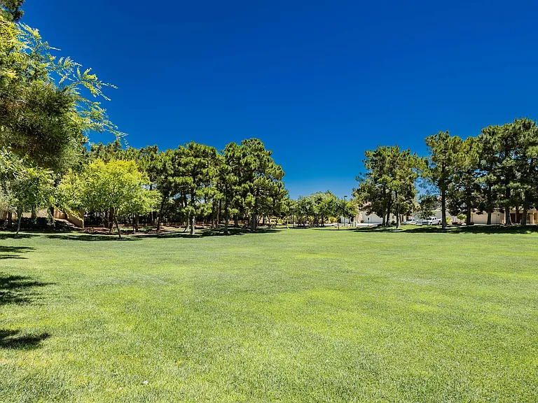 1329 Chaparral Summit Dr — Photo 27