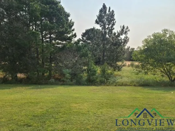 LOT 524 Sec Iv Golfing Green Cv, Hawkins, TX 75765